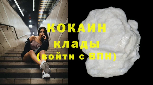 мяу мяу мука Белокуриха