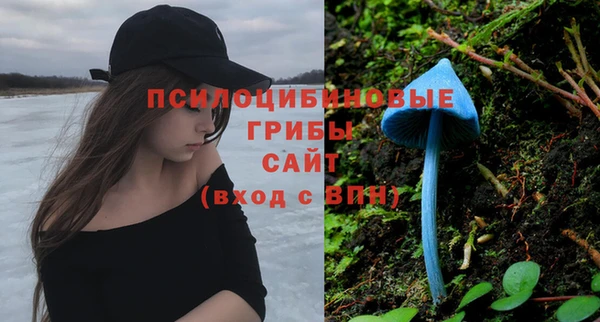 spice Балахна