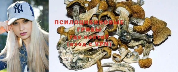 PSILOCYBIN Беломорск