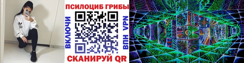 сколько стоит  Печора  Галлюциногенные грибы Cubensis 
