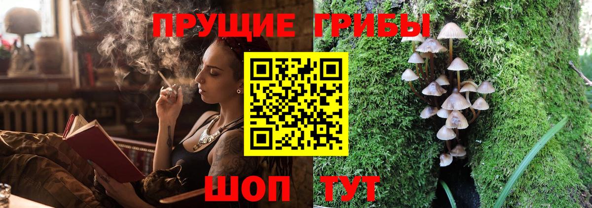 купить наркотик  Вход с VPN  Печора  Псилоцибиновые грибы мухоморы 